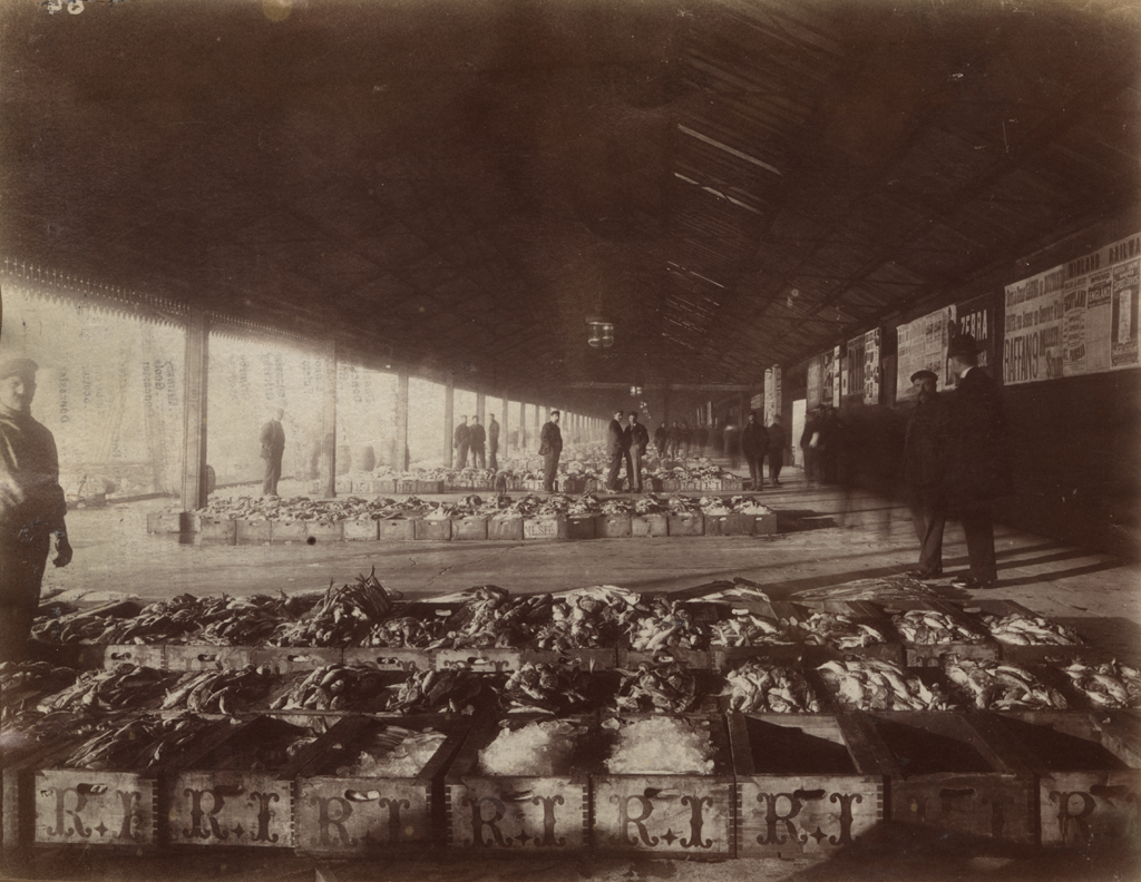 sepia photo of fish in wooden boxes on the floor